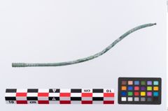 Foto von Bronzerippenkopfnadel (NHMW-PRAE-035771)